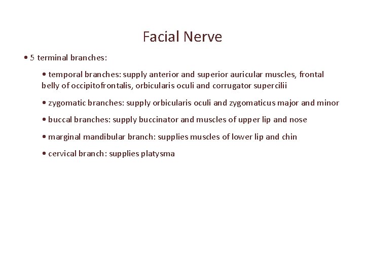 Facial Nerve • 5 terminal branches: • temporal branches: supply anterior and superior auricular