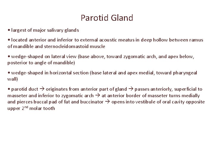 Parotid Gland • largest of major salivary glands • located anterior and inferior to