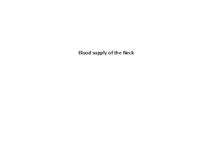 Blood supply of the Neck 