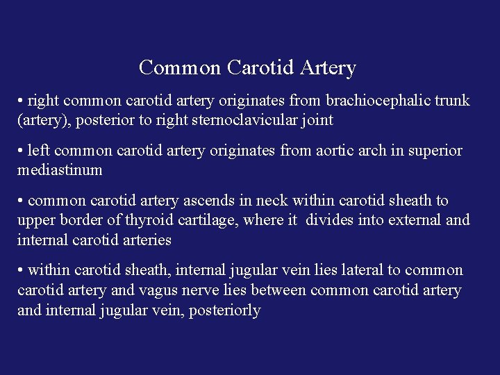Common Carotid Artery • right common carotid artery originates from brachiocephalic trunk (artery), posterior