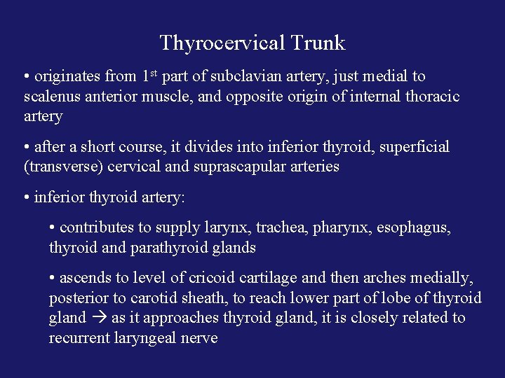 Thyrocervical Trunk • originates from 1 st part of subclavian artery, just medial to