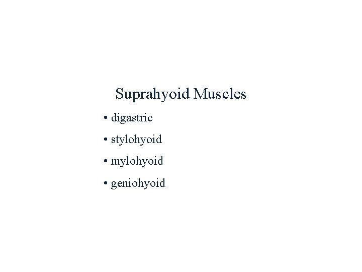Suprahyoid Muscles • digastric • stylohyoid • mylohyoid • geniohyoid 