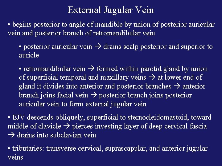 External Jugular Vein • begins posterior to angle of mandible by union of posterior
