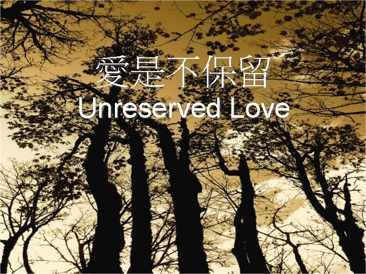 愛是不保留 Unreserved Love 