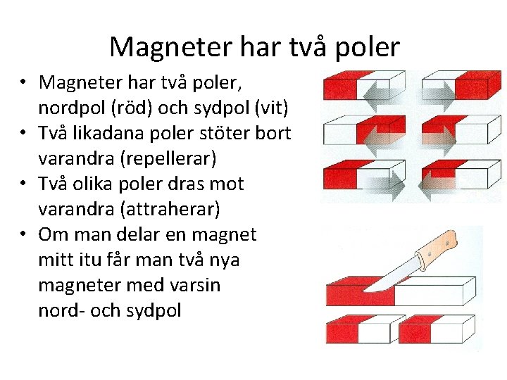 Magneter har två poler • Magneter har två poler, nordpol (röd) och sydpol (vit)