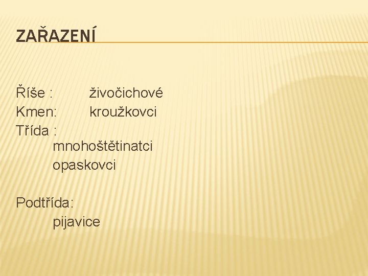 ZAŘAZENÍ Říše : živočichové Kmen: kroužkovci Třída : mnohoštětinatci opaskovci Podtřída: pijavice 