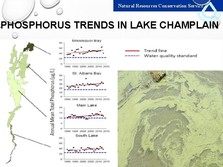 Natural Resources Conservation Service PHOSPHORUS TRENDS IN LAKE CHAMPLAIN 