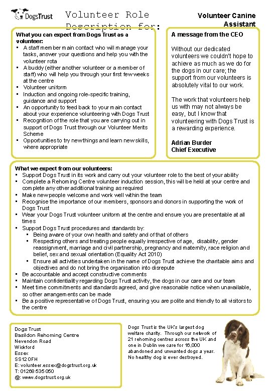 Volunteer Role Description for: What you can expect from Dogs Trust as a volunteer: