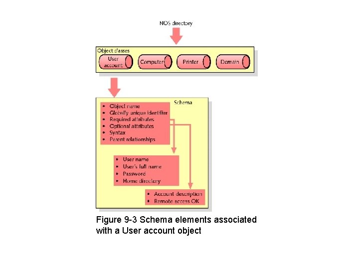 Figure 9 -3 Schema elements associated with a User account object 
