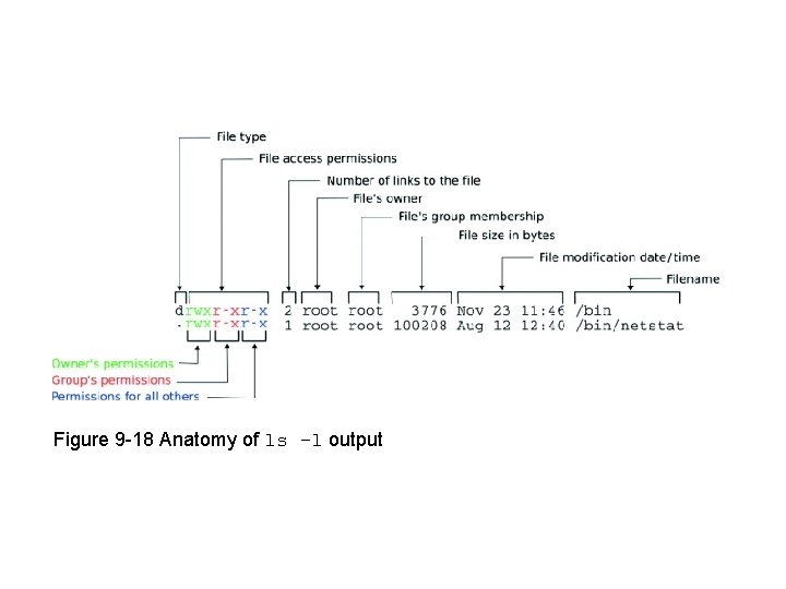 Figure 9 -18 Anatomy of ls –l output 