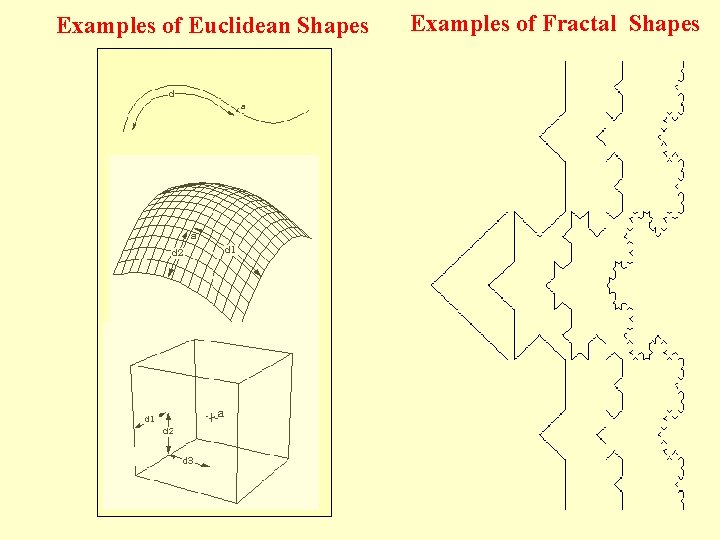 Examples of Euclidean Shapes Examples of Fractal Shapes 