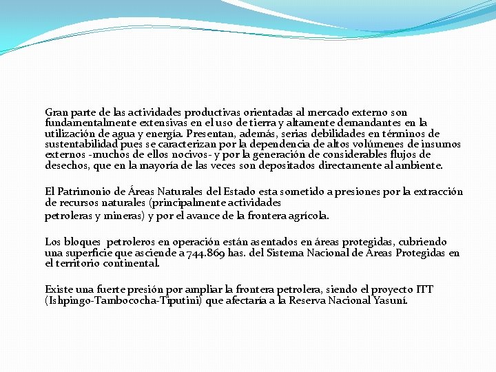 Gran parte de las actividades productivas orientadas al mercado externo son fundamentalmente extensivas en