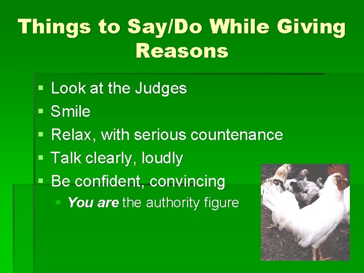 Things to Say/Do While Giving Reasons § § § Look at the Judges Smile