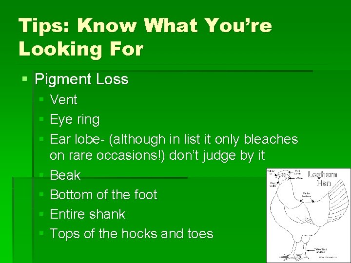 Tips: Know What You’re Looking For § Pigment Loss § Vent § Eye ring