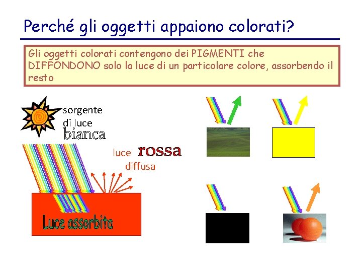 Perché gli oggetti appaiono colorati? Gli oggetti colorati contengono dei PIGMENTI che DIFFONDONO solo