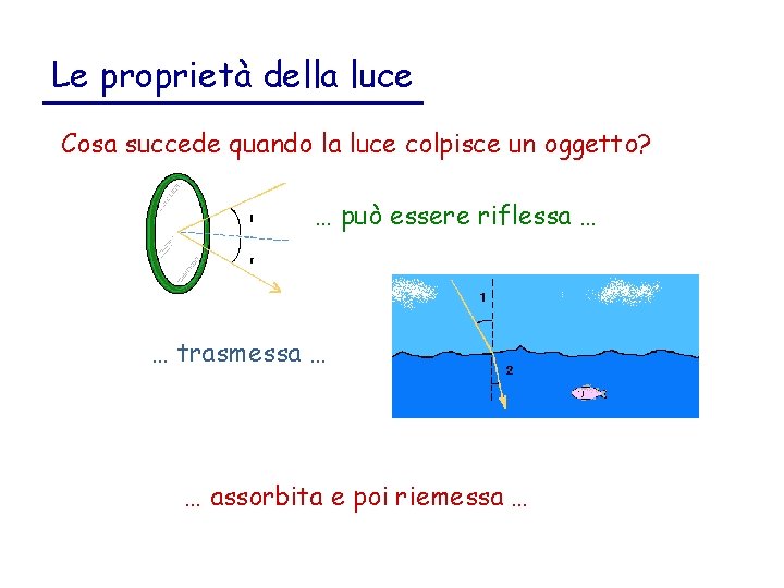 Le proprietà della luce Cosa succede quando la luce colpisce un oggetto? … può