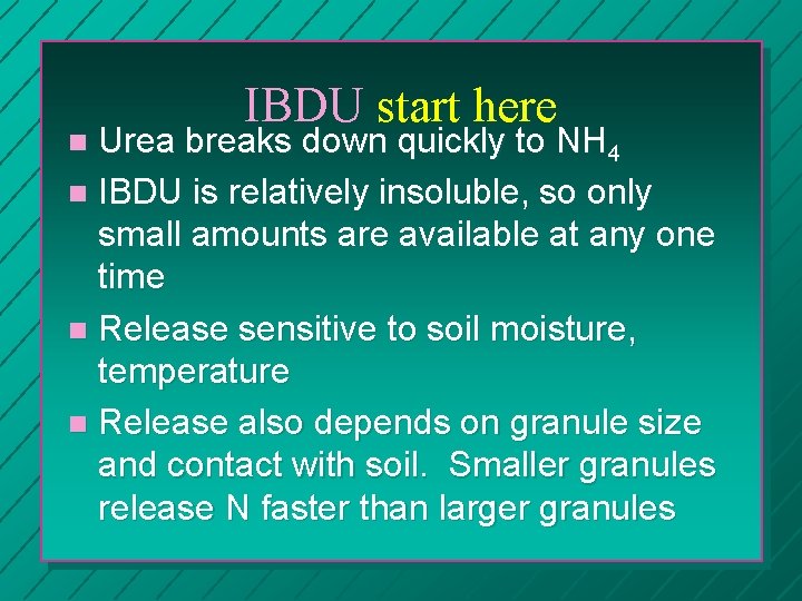 IBDU start here Urea breaks down quickly to NH 4 n IBDU is relatively