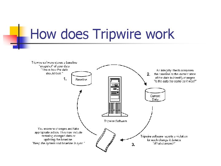 How does Tripwire work How does Tripwire work