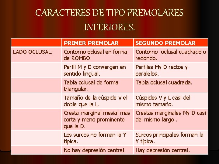 CARACTERES DE TIPO PREMOLARES INFERIORES. LADO OCLUSAL. PRIMER PREMOLAR SEGUNDO PREMOLAR Contorno oclusal en