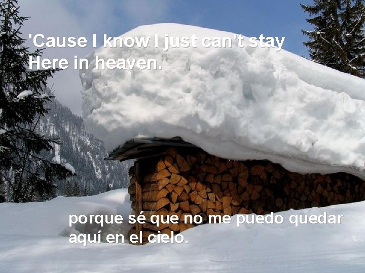 'Cause I know I just can't stay Here in heaven. porque sé que no