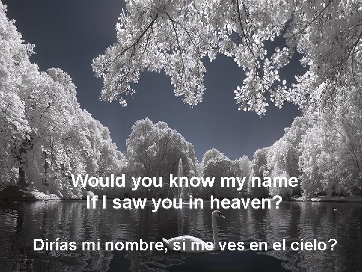 Would you know my name If I saw you in heaven? Dirías mi nombre,