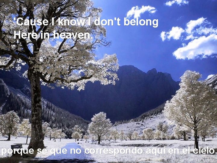 'Cause I know I don't belong Here in heaven. porque se que no correspondo