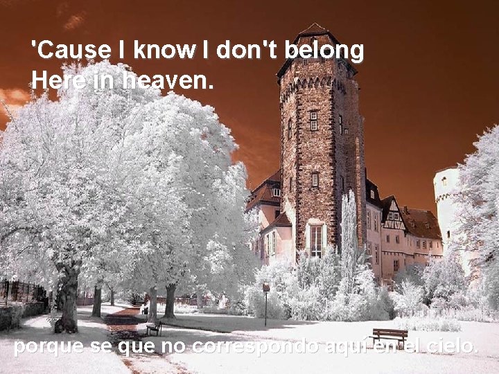 'Cause I know I don't belong Here in heaven. porque se que no correspondo