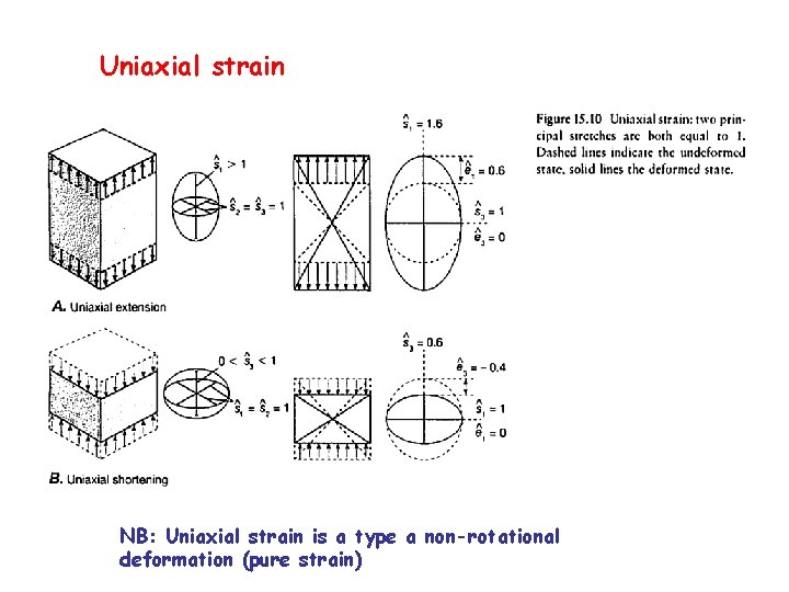 Uniaxial strain NB: Uniaxial strain is a type a non-rotational deformation (pure strain) 