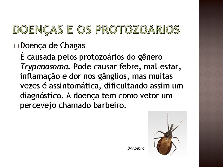 � Doença de Chagas É causada pelos protozoários do gênero Trypanosoma. Pode causar febre,