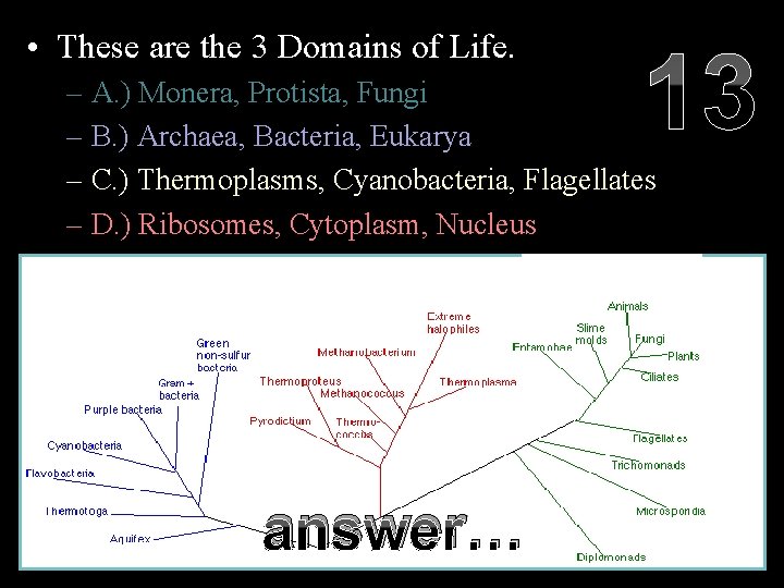  • These are the 3 Domains of Life. 13 – A. ) Monera,