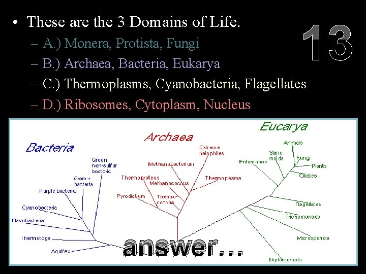  • These are the 3 Domains of Life. 13 – A. ) Monera,