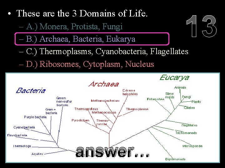  • These are the 3 Domains of Life. 13 – A. ) Monera,