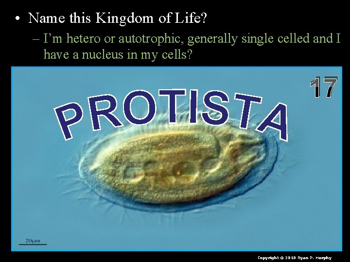  • Name this Kingdom of Life? – I’m hetero or autotrophic, generally single