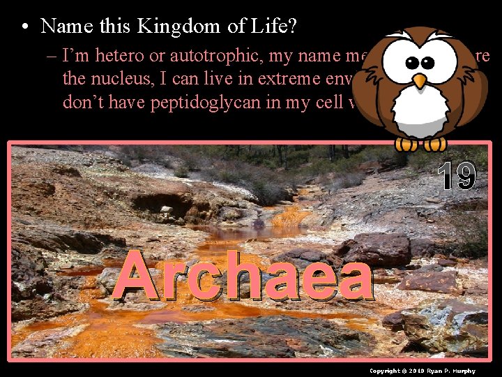  • Name this Kingdom of Life? – I’m hetero or autotrophic, my name