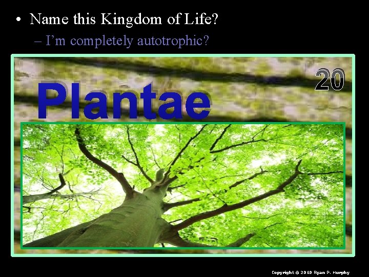  • Name this Kingdom of Life? – I’m completely autotrophic? Plantae 20 Copyright