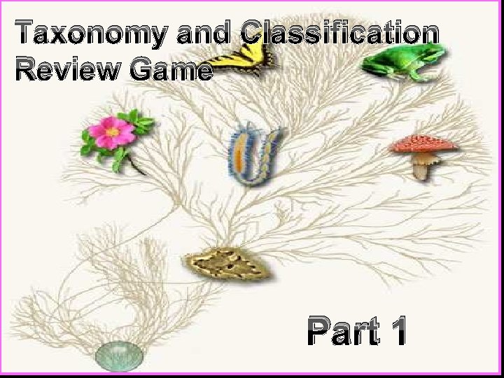 Taxonomy and Classification Review Game Part 1 