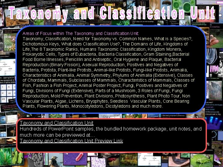 Areas of Focus within The Taxonomy and Classification Unit: Taxonomy, Classification, Need for Taxonomy