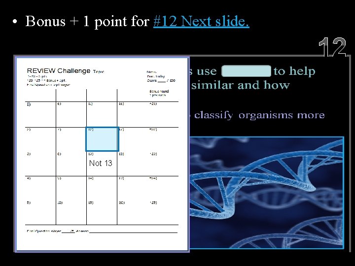  • Bonus + 1 point for #12 Next slide. 12 Not 13 Copyright