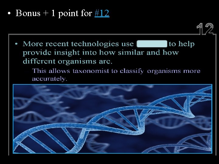  • Bonus + 1 point for #12 12 Copyright © 2010 Ryan P.