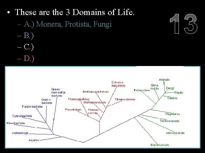  • These are the 3 Domains of Life. 13 – A. ) Monera,