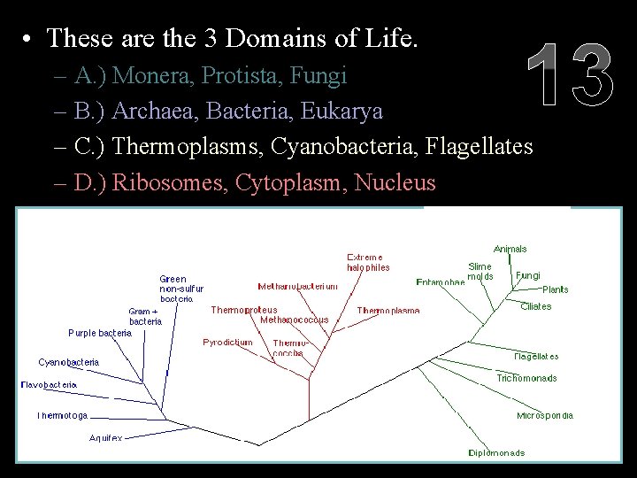  • These are the 3 Domains of Life. 13 – A. ) Monera,