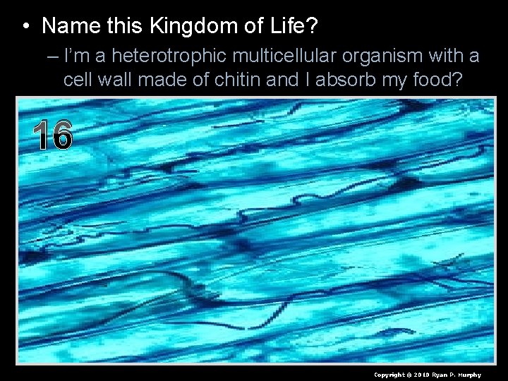  • Name this Kingdom of Life? – I’m a heterotrophic multicellular organism with