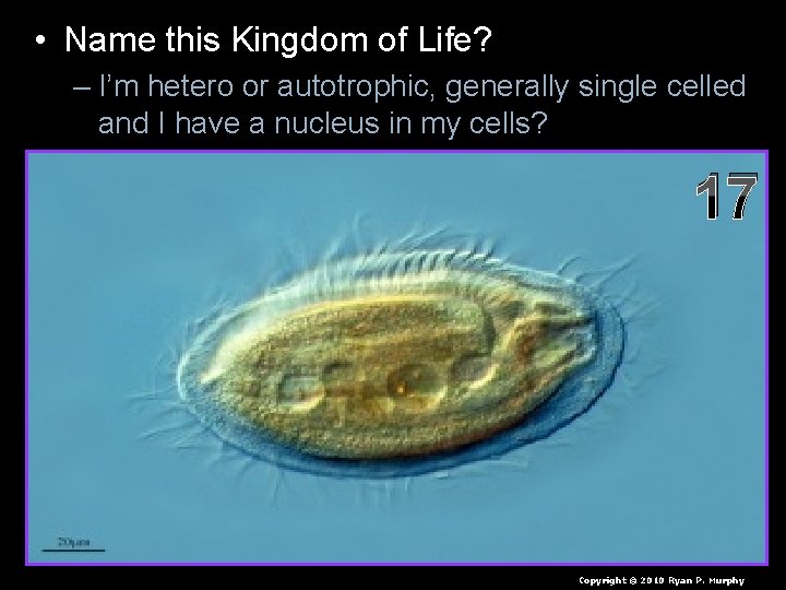  • Name this Kingdom of Life? – I’m hetero or autotrophic, generally single