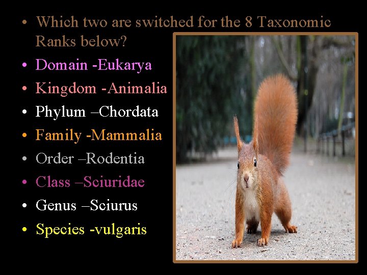  • Which two are switched for the 8 Taxonomic Ranks below? • Domain