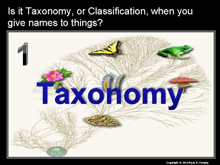 Is it Taxonomy, or Classification, when you give names to things? 1 Taxonomy Copyright