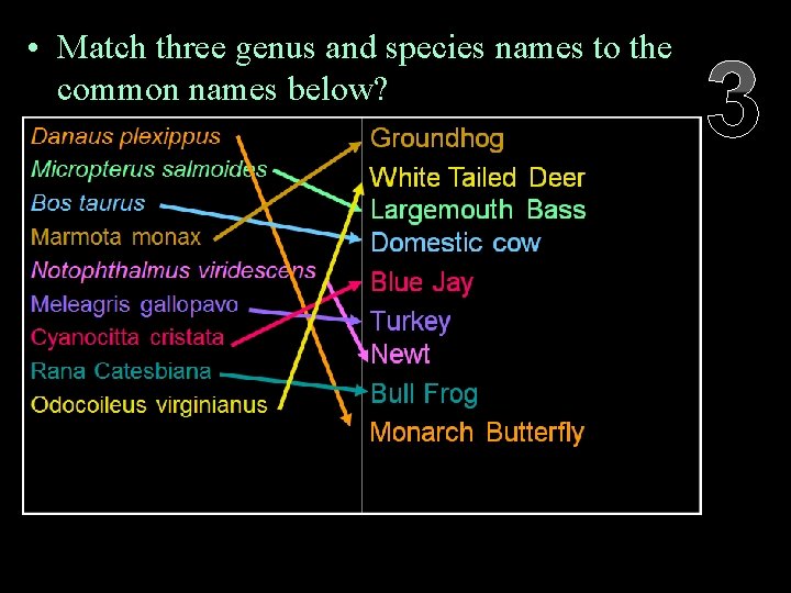  • Match three genus and species names to the common names below? Danaus