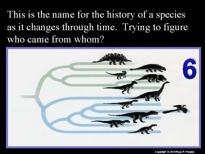 This is the name for the history of a species as it changes through