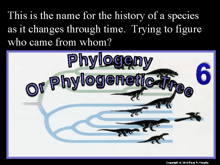 This is the name for the history of a species as it changes through