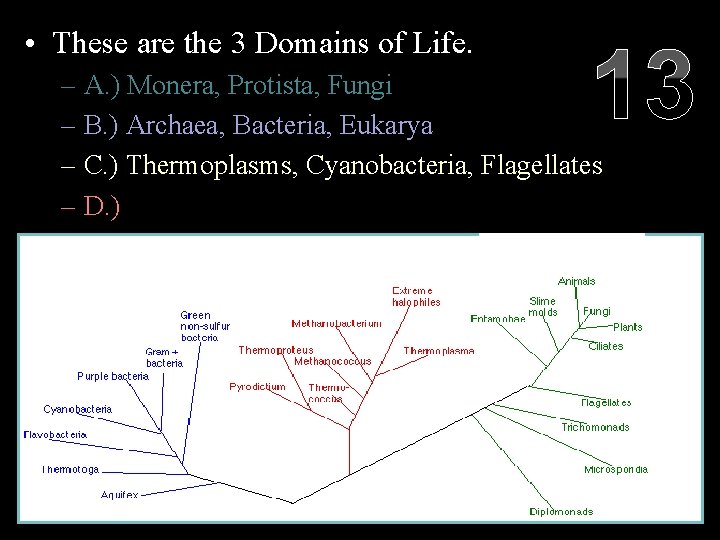  • These are the 3 Domains of Life. 13 – A. ) Monera,