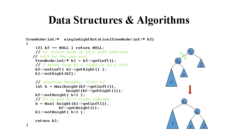 Data Structures & Algorithms Tree. Node<int>* single. Right. Rotation(Tree. Node<int>* k 2) { if(